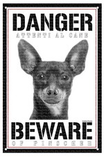 Pinscher targa cartello usato  Vertemate con Minoprio