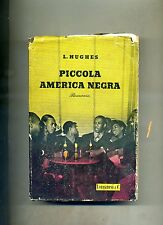 Hughes piccola america usato  Italia