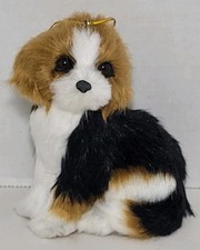Beagle puppy dog for sale  Centerton