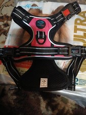 Phoepet pull reflective for sale  Jersey City