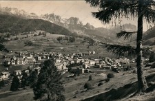 1951 moena val usato  Cremona