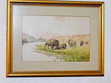 Julius rorphuro buffalos for sale  Reedley
