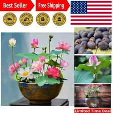 Lotus seeds pack for sale  Denver