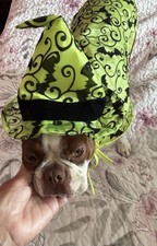 Dog halloween witch for sale  Edwardsburg