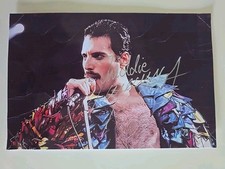 Queen fredddie mercury gebraucht kaufen  Möckmühl