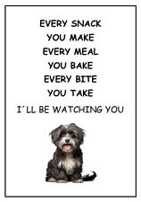 Havanese watching sign for sale  DUNSTABLE
