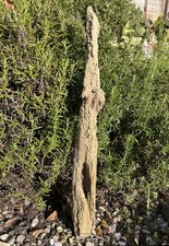 68cm weathered character for sale  CLACTON-ON-SEA