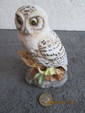 Maruri tawny owl for sale  POOLE