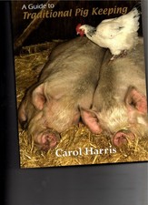 Guide traditional pig for sale  CAMELFORD