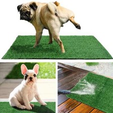 Dog pee training for sale  Baldwin Park