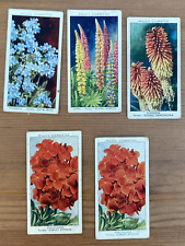 Wills cigarette cards for sale  PETERSFIELD