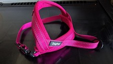 Bright pink dog for sale  LETCHWORTH GARDEN CITY