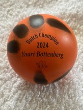 Reisinger youri bottenberg gebraucht kaufen  Schwabach