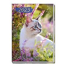 Trötsch taschenkalender katze gebraucht kaufen  Berlin