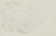 Steppes rosen 1942 gebraucht kaufen  Frankfurt am Main