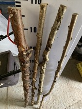 Twistie shanks seasoned for sale  SOUTH MOLTON