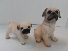 Pug puppy pug for sale  Seekonk