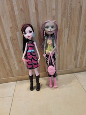 Monster high doll gebraucht kaufen  Mömbris