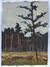 Paisaje de verano en el bosque pintura al óleo original sobre cartón segunda mano  Embacar hacia Mexico
