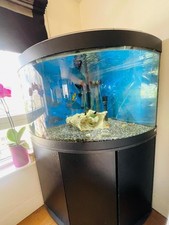 200 litre fish tank for sale 200 litre fish tank for sale LONDON