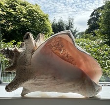 Vintage large genuine for sale  BRISTOL