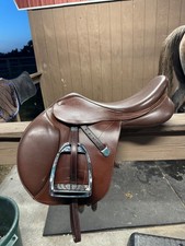 17.5 bates caprilli for sale  USA