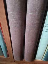 Genio dei macchiaioli usato  Lodi