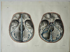 Bourgery jacob anatomie d'occasion  Sainte-Suzanne