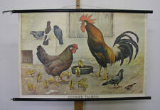 Wandbild adalbert pilch gebraucht kaufen  Cottbus