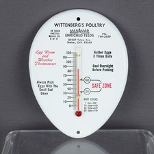 Wittenberg poultry egg for sale  Onley