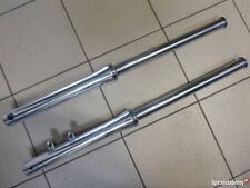 Suzuki 800 750 usato  Ragalna