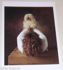 Carte postale photo d'occasion  Ham
