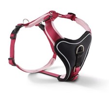Wolters professional hundegesc gebraucht kaufen  Nürnberg