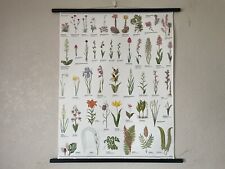 Vintage european wild for sale  LEICESTER