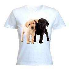 Labrador puppies women for sale  LANCASTER