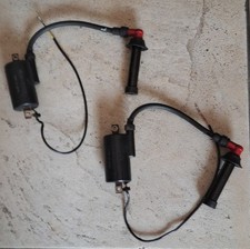 Coppia bobine complete usato  Palazzolo sull'Oglio