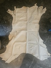 Deer hide skin for sale  Cornell