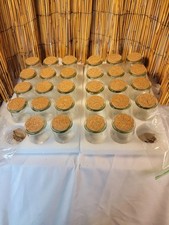 apothecary jars 7 jars for sale  Kilgore