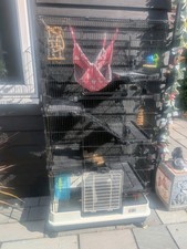 Rat ferret chinchilla for sale  DARTFORD