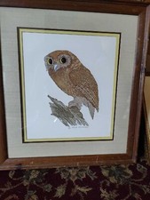 Screech owl etching for sale  Frederick