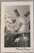 Cartolina augurale buona usato  Italia