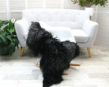 Curly mongolian sheepskin for sale Curly mongolian sheepskin for sale  BARNSLEY