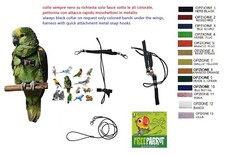 Pettorina pappagalli cocorite usato Pettorina pappagalli cocorite usato  Monte di Procida