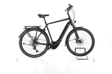 Pegasus strong evo gebraucht kaufen  Kempten (Allgäu)