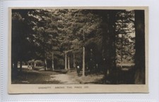 Oxshott surrey among for sale  KEIGHLEY