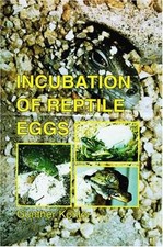 Incubation reptile eggs for sale  Philadelphia