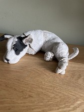Breed apart dog for sale  BOURNEMOUTH