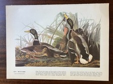 Vintage 1940 audubon for sale  Port Orchard