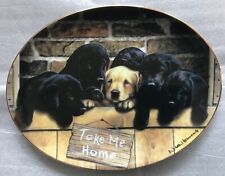 Dog decorative plate for sale  DARTMOUTH