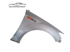 Kotflügel hyper silber gebraucht kaufen  Mühlhausen/Thüringen